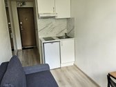 Nuomojamas jaukus vieno kambario butas su - nuotraukos Nr. 5