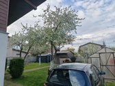 Išskirtinėje vietoje - Karčiupyje, vos keli - nuotraukos Nr. 14