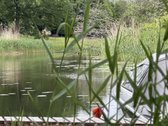 Ramybės Oazė Miesto Širdyje – Namai, Kurie - nuotraukos Nr. 23