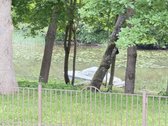 Ramybės Oazė Miesto Širdyje – Namai, Kurie - nuotraukos Nr. 27