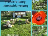 Parduodamas Sodo Namas Prie Tvenkinio Su 12,2 - nuotraukos Nr. 24