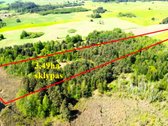 Didelis sklypas net su 103 m Ilgis ežero - nuotraukos Nr. 4
