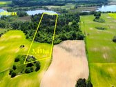 Didelis sklypas net su 103 m Ilgis ežero - nuotraukos Nr. 8