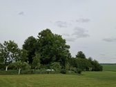 Parduodama tvarkinga sodyba Lakštučių kaime. - nuotraukos Nr. 18