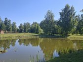 Parduodama tvarkinga sodyba Lakštučių kaime. - nuotraukos Nr. 17