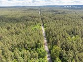 Gražiausioje Turniškių vietoje Neries kilpoje - nuotraukos Nr. 20