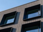 Nauja Verslo Ikona Žvėryne - S3liai - nuotraukos Nr. 13