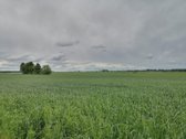 Parduodamas jaukus, prižiūrėtas 3 kambarių - nuotraukos Nr. 11