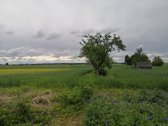 Parduodamas jaukus, prižiūrėtas 3 kambarių - nuotraukos Nr. 27