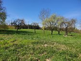 Parduodama sodyba su 8,75 ha. žemės sklypu, - nuotraukos Nr. 7