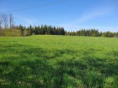 Parduodama sodyba su 8,75 ha. žemės sklypu, - nuotraukos Nr. 10