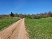 Parduodama sodyba su 8,75 ha. žemės sklypu, - nuotraukos Nr. 9