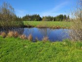 Parduodama sodyba su 8,75 ha. žemės sklypu, - nuotraukos Nr. 6