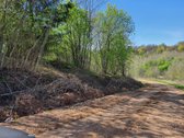 Parduodama sodyba su 8,75 ha. žemės sklypu, - nuotraukos Nr. 11