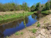 Parduodama sodyba su 8,75 ha. žemės sklypu, - nuotraukos Nr. 13