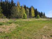 Parduodama sodyba su 8,75 ha. žemės sklypu, - nuotraukos Nr. 15