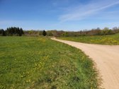 Parduodama sodyba su 8,75 ha. žemės sklypu, - nuotraukos Nr. 8