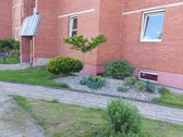 Tvarkingas, gera vieta, aplink nėra