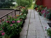 Parduodamas butas su atskiru įėjimu, terasa, - nuotraukos Nr. 8