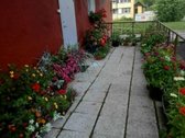 Parduodamas butas su atskiru įėjimu, terasa, - nuotraukos Nr. 7