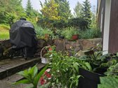 Parduodamas 2018m. renovuotas namas, - nuotraukos Nr. 7