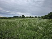 Liko paskutis sklypas - nuotraukos Nr. 3