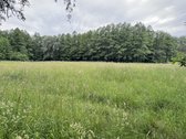 Suvalkijos miškų apsuptyje parduodama erdvi - nuotraukos Nr. 27