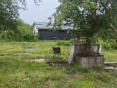 Pavilnyje, Paeglinės sodų 9-oje gatvėje - nuotraukos Nr. 3