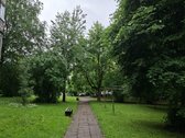 Parduodamas tvarkingas, prižiūrėtas, - nuotraukos Nr. 29