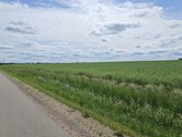 Parduodamas 5.1461 ha žemės ūkio paskirties