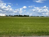 Parduodamas 25 arų namų valdos sklypas - nuotraukos Nr. 3
