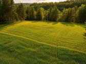 20 arų sklypas išskirtinėje vietoje šalia - nuotraukos Nr. 6