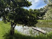 Parduodamas puoselėtas sklypas ir namas. - nuotraukos Nr. 10