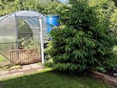 Parduodamas erdvus ir funkcionaliai - nuotraukos Nr. 6