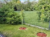 Parduodamas erdvus ir funkcionaliai - nuotraukos Nr. 7