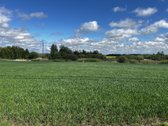Parduodamas žemės paskirties sklypas Raseinių - nuotraukos Nr. 2