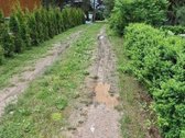 Kalvarijos sav. Naujienėlės k. SB Šilas - nuotraukos Nr. 14