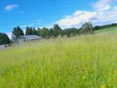 Parduodamas sklypas su pradėtu statyti - nuotraukos Nr. 20