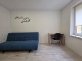 Nuomojamas Šviesus Ir Jaukus Kambarys 4-ių - nuotraukos Nr. 3