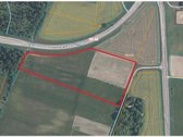 Parduodamas 4 Ha Žemės Sklypas Panevėžio Raj. - nuotraukos Nr. 11