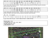Parduodami 1.0487 ha ir 0.2900 ha ploto - nuotraukos Nr. 2