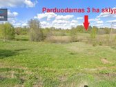 Netoli Varniškių ežero gražioje vietoje - nuotraukos Nr. 30