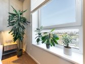 Parduodamas Kokybiškai Įrengtas 2 Kambarių Butas. - nuotraukos Nr. 28