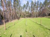 Labanoro girioje prie Ešerinio ežero siūlome - nuotraukos Nr. 28