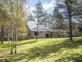 Labanoro girioje prie Ešerinio ežero siūlome - nuotraukos Nr. 30
