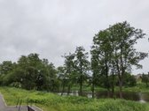 Pirmoje juostoje prie Nemuno – Išskirtinis 15 - nuotraukos Nr. 6