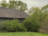 Parduodama Sodyba Su ~4 Ha Žemės Klaipėdos Raj. - nuotraukos Nr. 6