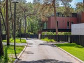 Brandžiame pušyne, vos kelios minutės nuo - nuotraukos Nr. 13