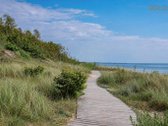 Brandžiame pušyne, vos kelios minutės nuo - nuotraukos Nr. 16