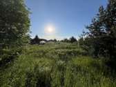 Parduodamas 9,26 a namų valdos sklypas